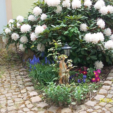Apartament Giesis Wohlfuehloase Döbeln Zewnętrze zdjęcie