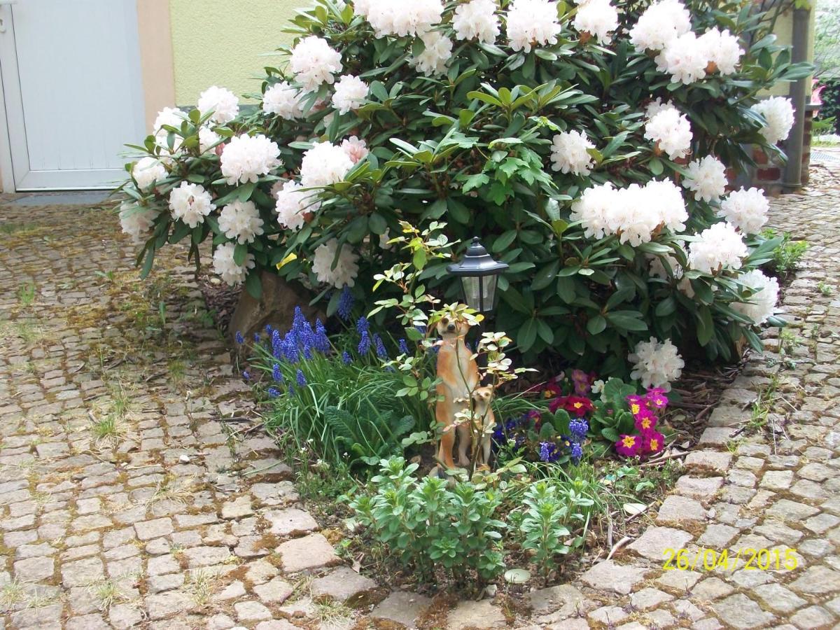 Apartament Giesis Wohlfuehloase Döbeln Zewnętrze zdjęcie