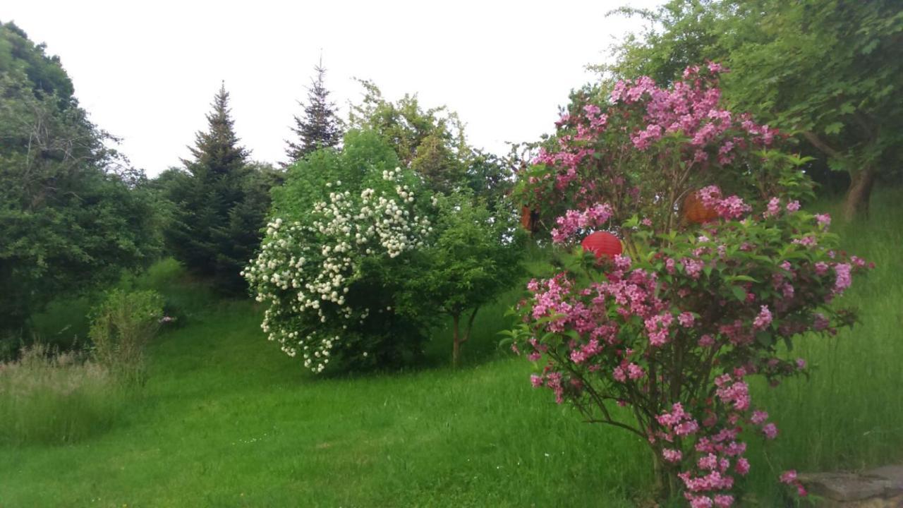 Apartament Giesis Wohlfuehloase Döbeln Zewnętrze zdjęcie